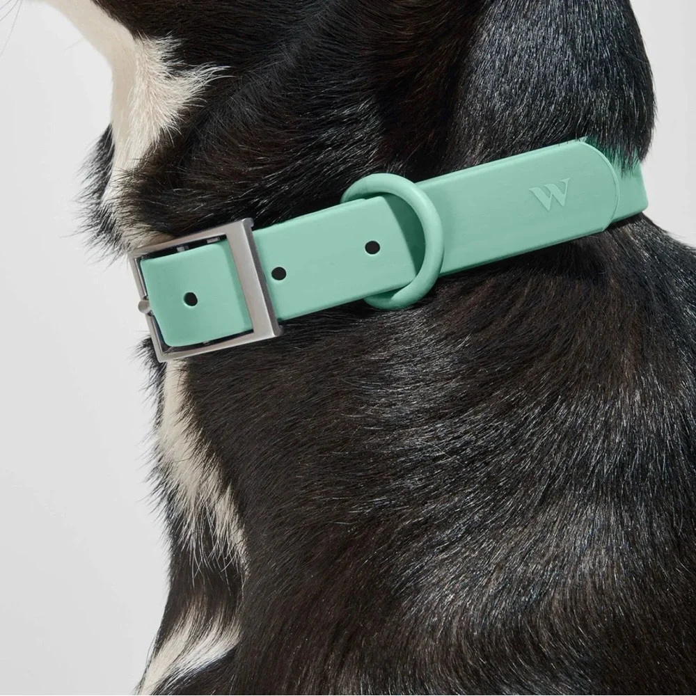 Wild One Dog Collar - L (15-18